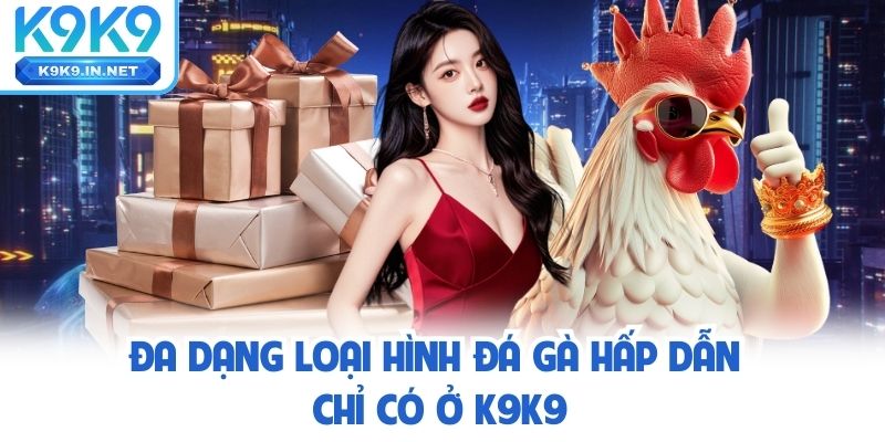 Đa dạng loại hình đá gà hấp dẫn chỉ có ở K9K9