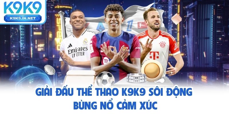 Giải đấu thể thao K9K9 sôi động bùng nổ cảm xúc