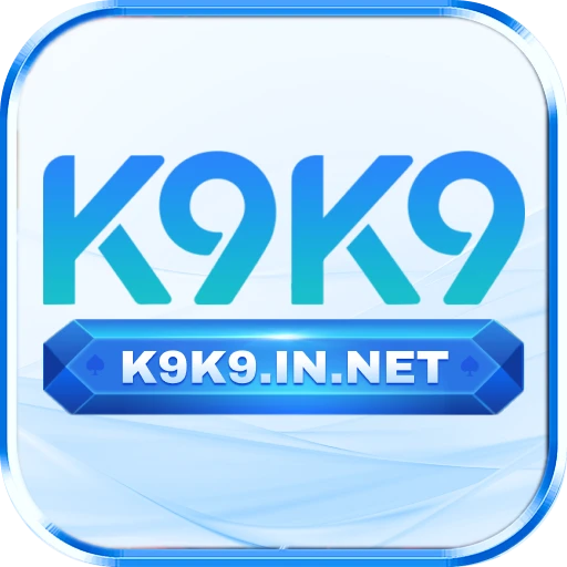 k9k9 logo