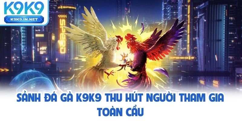 Sảnh đá gà K9K9 thu hút người tham gia toàn cầu